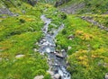 Aerial view mountain stream with colourful stones. Flowing river with smooth stones. Spring water running through different stones Royalty Free Stock Photo