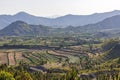 Aerial view from the mountain top of the fields in the swat valley, Pakistan