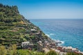 Aerial view of mountain with vineyard in coast of Cinque Terre, Vernazza ITALY