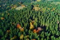 Aerial view of mountains covered with autumn forest Royalty Free Stock Photo