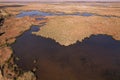 Aerial view, moving forward above the branches river is a Danube river flows among the endless thickets of reed Royalty Free Stock Photo