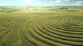 Aerial View of Mysterious Crop Circles