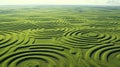 Aerial View of Mysterious Crop Circles