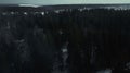 Aerial view. Mysterious forest in night time and fog. Moon light and trees shadow.