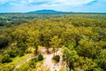 View of native Australian eucalypt forest.