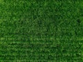 Aerial view of natural green grass texture. Green field in Finland Royalty Free Stock Photo