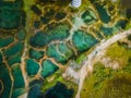 Abstract crystal clear Emerald pool during sunrise F. Royalty Free Stock Photo