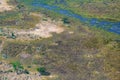 Aerial view Okavango Delta landscape, grassland, trees