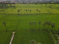 Aerial view nature landscape in Thailand farm