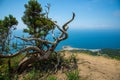 Aerial view of of the nature reserve Mali Utrish and Black Sea on sunny summer day