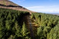 Aerial view on nature scene with green forest by a mountain, cloudy sky. Sligo area, Ireland. Warm sunny day. Country side. Irish