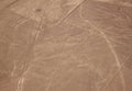 Aerial view of the Nazca Lines - condor, large Royalty Free Stock Photo