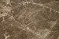 Aerial view Nazca Lines of the Condor, Peru. Royalty Free Stock Photo