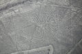 Aerial view of Nazca Lines - Spider geoglyph, Peru. Royalty Free Stock Photo