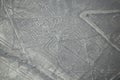 Aerial view of Nazca Lines - Spider geoglyph, Peru. Royalty Free Stock Photo