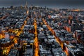 Aerial view of New York City at night Royalty Free Stock Photo