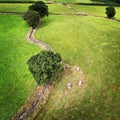 Aerial view of the Nine Stones Close Stone Circle in a lush green field