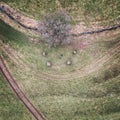 Aerial view of the Nine Stones Close Stone Circle in a lush green field