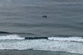 Aerial view of Nyang Nyang beach on Bali in Indonesia. A popular spot of surfers with big waves in the Indian Ocean. Fishing boats Royalty Free Stock Photo