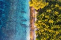 Aerial view at ocean and palms. Turquoise water background from top view. Summer seascape from air. Bali island, Indonesia. Royalty Free Stock Photo