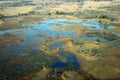 Aerial view of the Okavango delta, Botswana