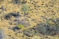 Aerial view of the Okavango delta, Botswana