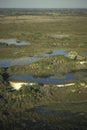 Aerial view, Okavango delta, Botswana. Royalty Free Stock Photo