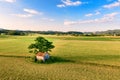 Aerial view of Old barn with damaged, collapsed roof under a large tree in rural landscape Royalty Free Stock Photo