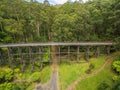 Aerial view of old trestle bridge among ferns and eucalyptuses i