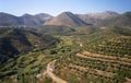 Aerial view on olive groves on the hils and mountain slopes. Crete, Greece Royalty Free Stock Photo
