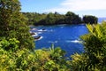 Aerial view of Onomea Bay in Papaikou, Hawaii