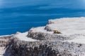 Aerial view of opencast mining quarry with one machinery on the blue sea background. Royalty Free Stock Photo