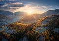 Aerial view of orange trees on the hill in mountains at sunrise Royalty Free Stock Photo