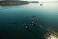 aerial view of orcas circling a group of sealions