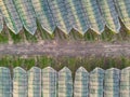 Aerial view of orchard with apple trees during sunset. The fields are covered with a hail net.