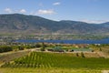 Aerial view of Osoyoos Wine Valley