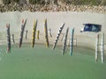 Aerial view of outrigger canoes on West Busselton foreshore beach, Western Australia Royalty Free Stock Photo