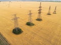 Aerial view over the agricultural fields. Yellow wheat Royalty Free Stock Photo