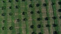 aerial view over agricultural gardens in spring time Royalty Free Stock Photo