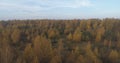 Aerial view over autumn rural landscape with field and forest in the morning Royalty Free Stock Photo