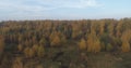 Aerial view over autumn rural landscape with field and forest in the morning Royalty Free Stock Photo