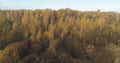 Aerial view over autumn rural landscape with field and forest in the morning Royalty Free Stock Photo