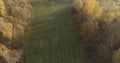 Aerial view over autumn rural landscape with field and forest in the morning Royalty Free Stock Photo