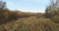 Aerial view over autumn rural landscape with field and forest in the morning Royalty Free Stock Photo