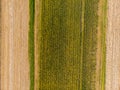 Aerial view over colorful flowers and fields