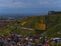 Aerial view over Durbach, Germany and patterned vineyards in autumn with discolored green and yellow leaves and Rhine valley. Royalty Free Stock Photo