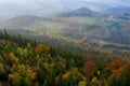 Aerial view over forest in autumn in austria