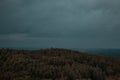 Aerial view over the green forest in evening. Cloudy mystery. Landscapes of Latvia. Royalty Free Stock Photo