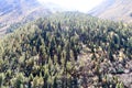 Aerial view over green pine tree forest canopy on Himalayas mountain top. Pine Woods Forest woodland On The Top Of Highland Valley Royalty Free Stock Photo