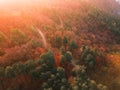 Aerial view over mountain road inside forest during sunrise